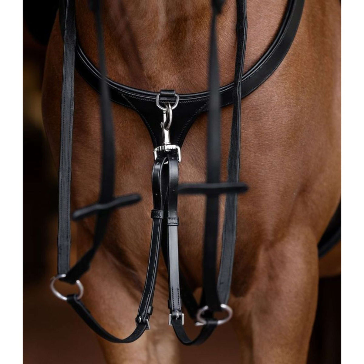 Waldhausen Martingala X-Line