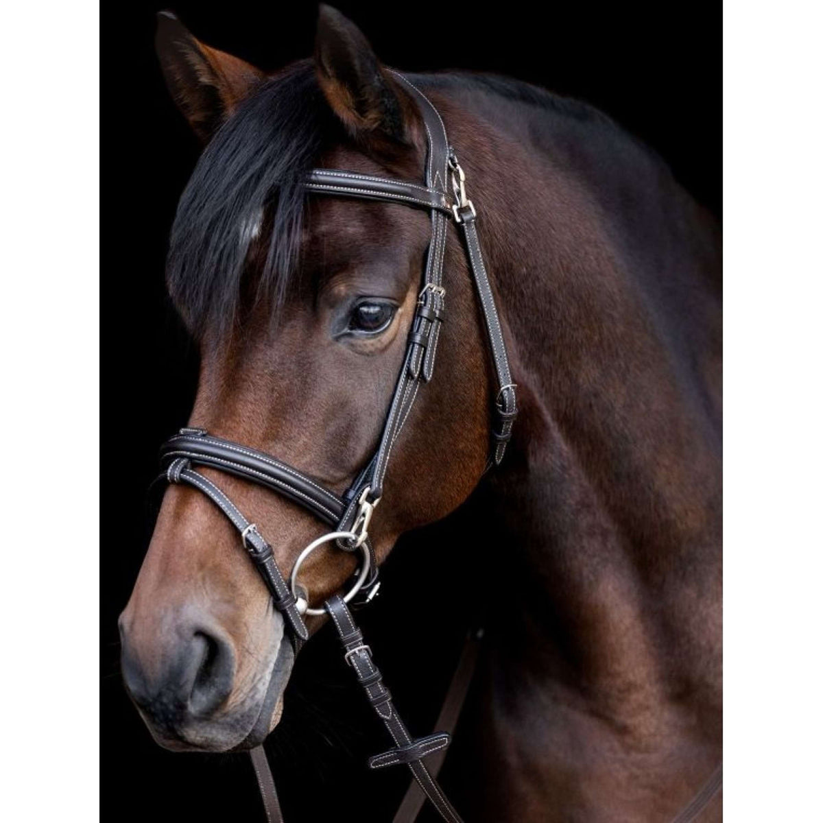 Waldhausen Briglia X-Line Work