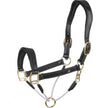Waldhausen Cavezza S-Line Leather