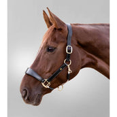 Waldhausen Capezzina S-Line Leather