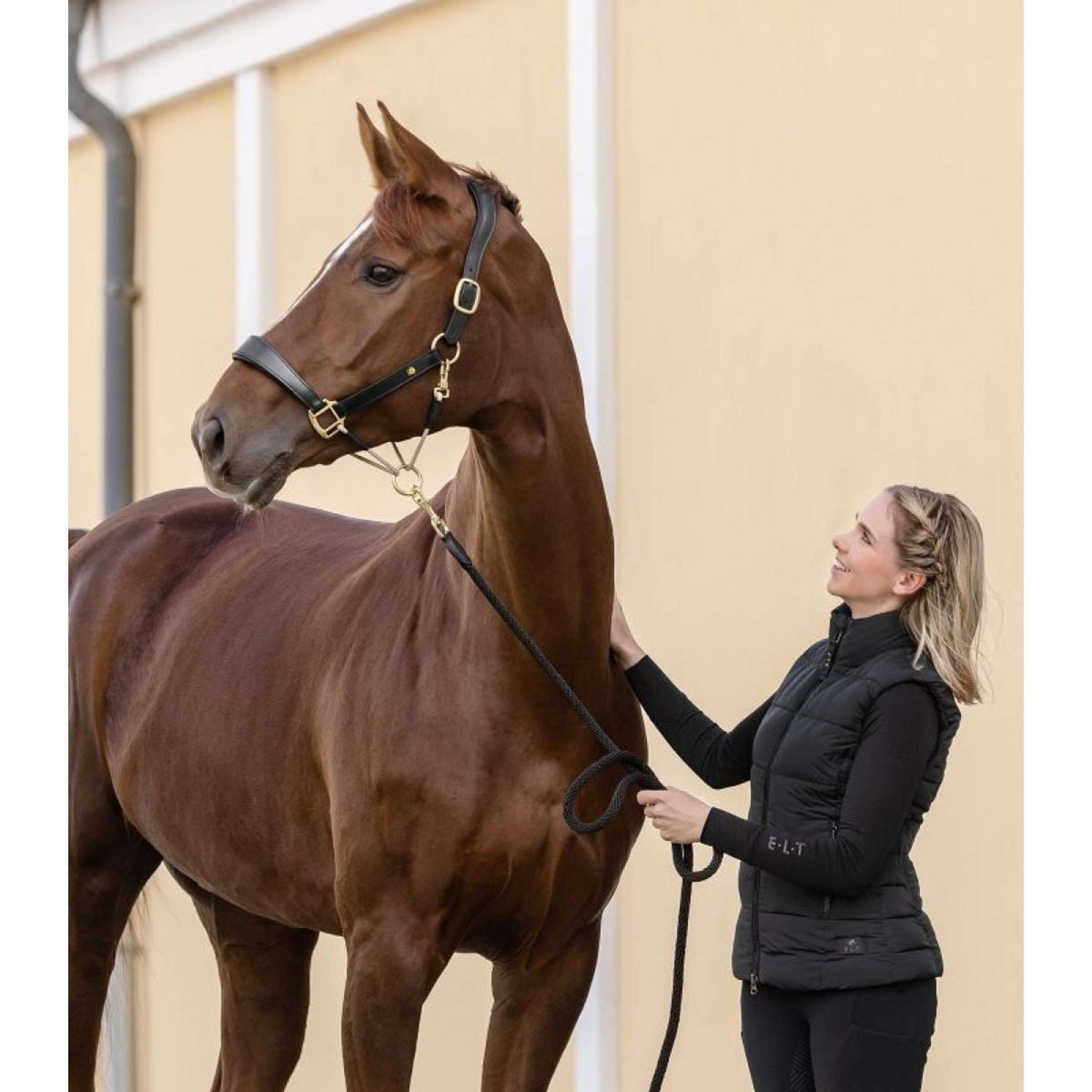 Waldhausen Capezzina S-Line Leather