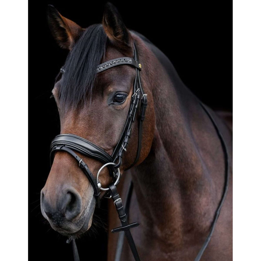 Waldhausen Briglia S-Line Blackshine