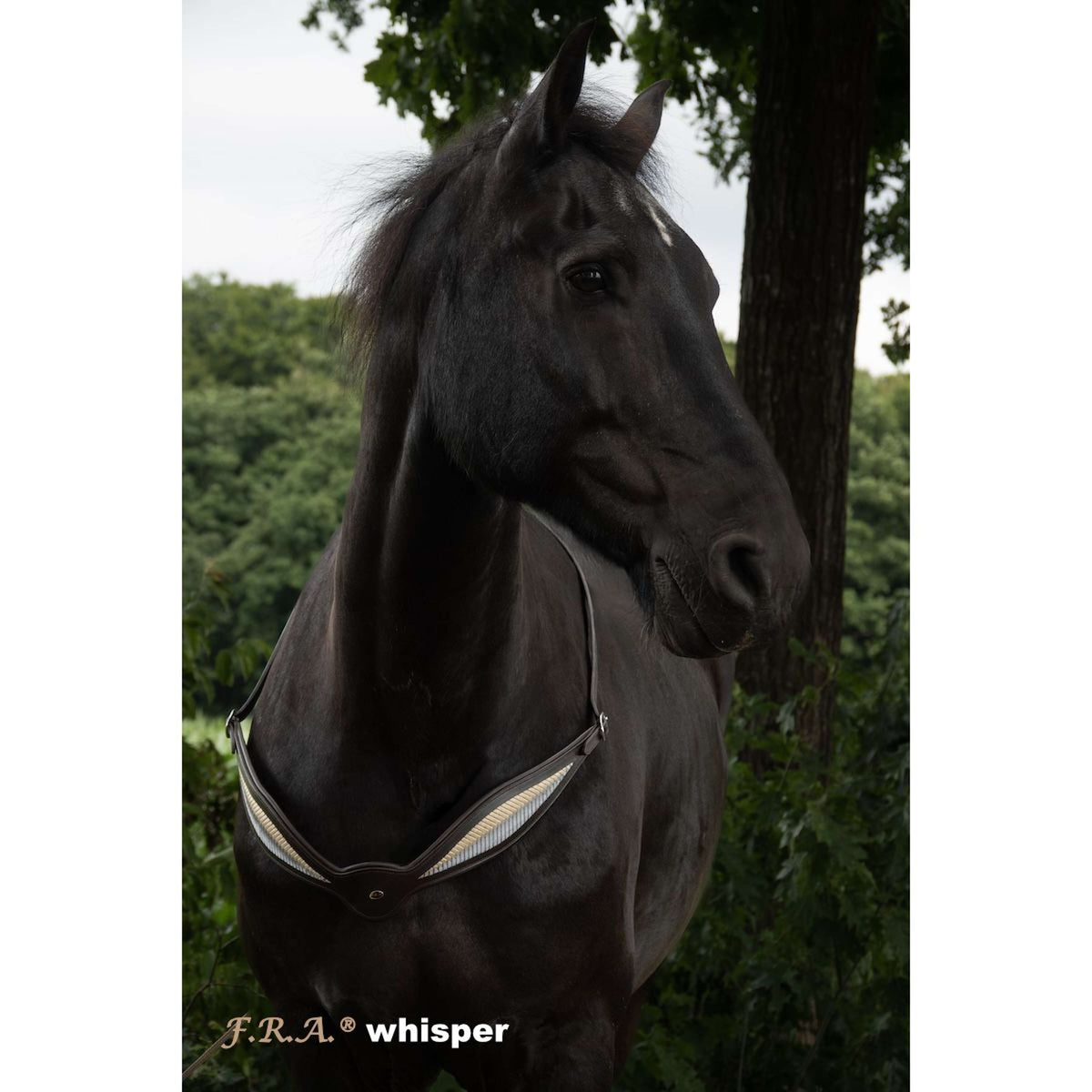 F.R.A. Redine di Equilibrio Whisper Marrone